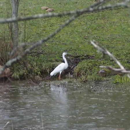 Smještaj na farmi Raistiko Talu- Farmhouse, Off-grid And