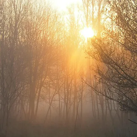 Raistiko Talu- Farmhouse, Off-grid And *