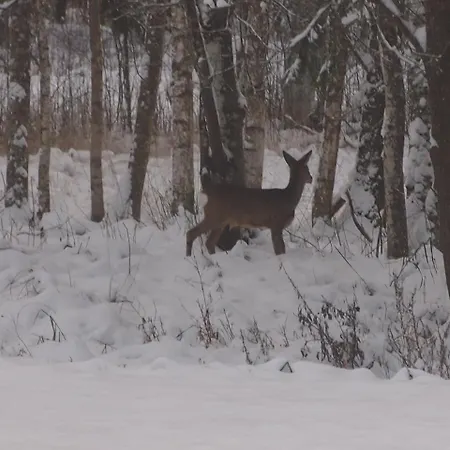 Séjour à la ferme Raistiko Talu- Farmhouse, Off-grid And *