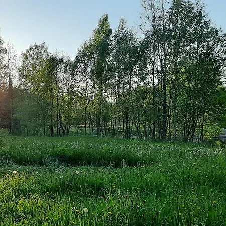 Bauernhof Raistiko Talu- Farmhouse, Off-grid And Punakula
