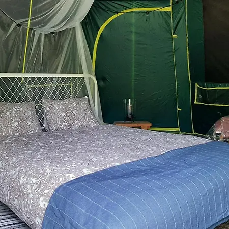 Raistiko Talu- Farmhouse, Off-grid And Smještaj na farmi *