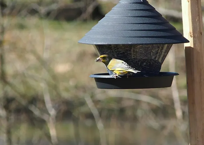 Raistiko Talu- Farmhouse, Off-grid And Alloggio per agriturismo