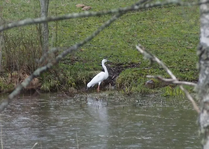 Alloggio per agriturismo Raistiko Talu- Farmhouse, Off-grid And