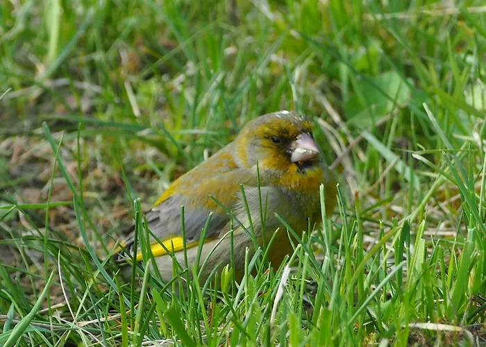 Raistiko Talu- Farmhouse, Off-grid And Farm stay Punakula