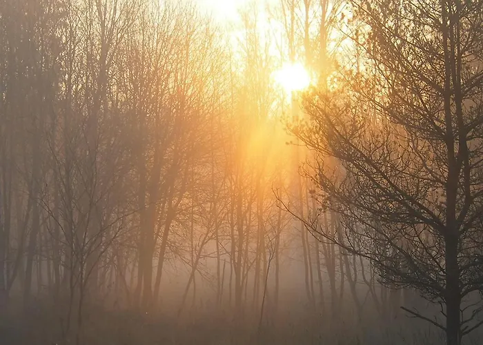 Raistiko Talu- Farmhouse, Off-grid And *