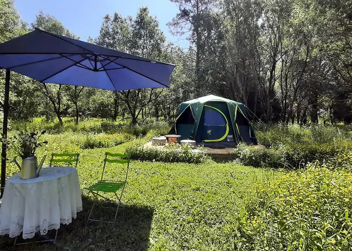 Raistiko Talu- Farmhouse, Off-grid And Farm stay