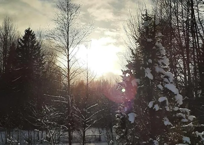 Raistiko Talu- Farmhouse, Off-grid And Farm stay