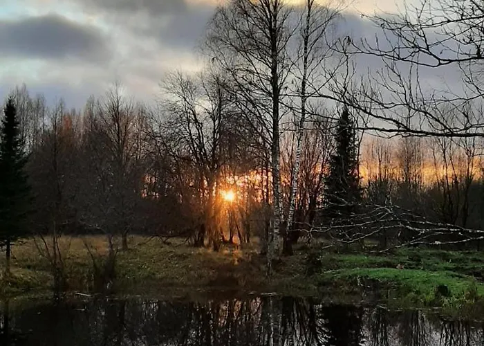 Farm stay Raistiko Talu- Farmhouse, Off-grid And